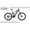 Electric Mountain Bike